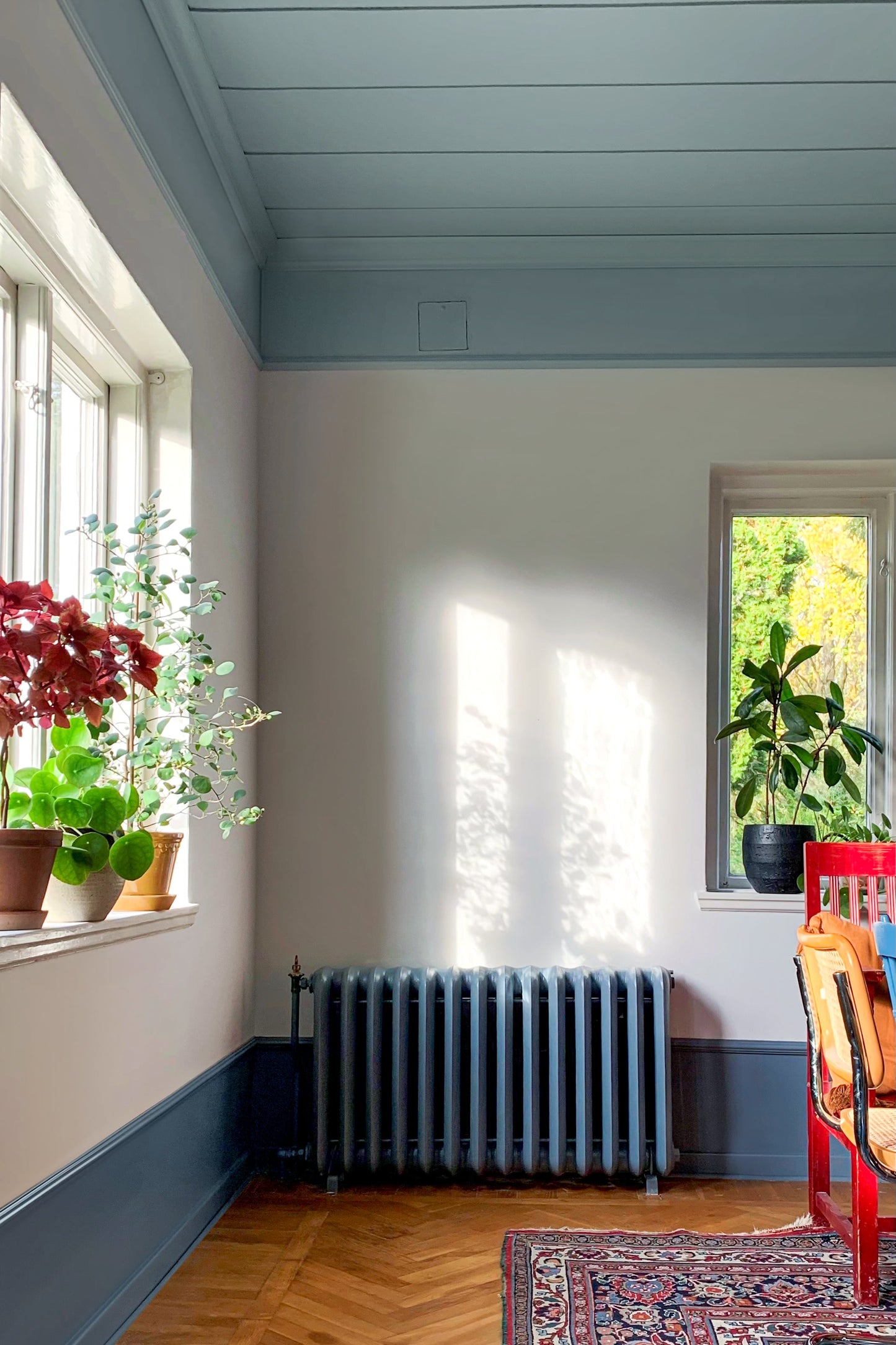 Corniche polystyrène DP22