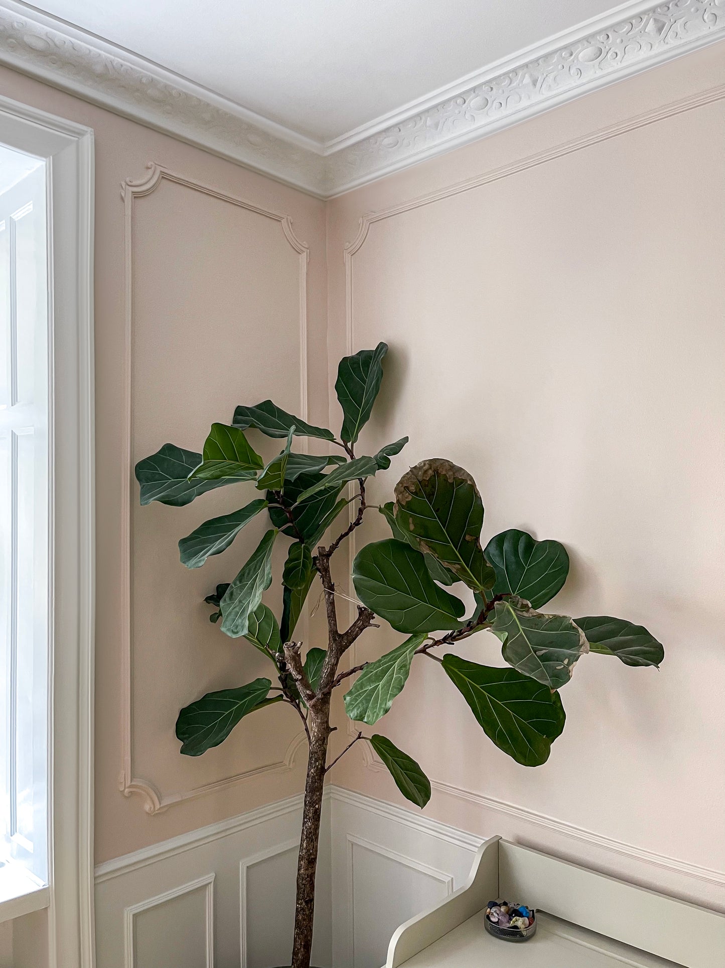 Corner moulding HL354-4