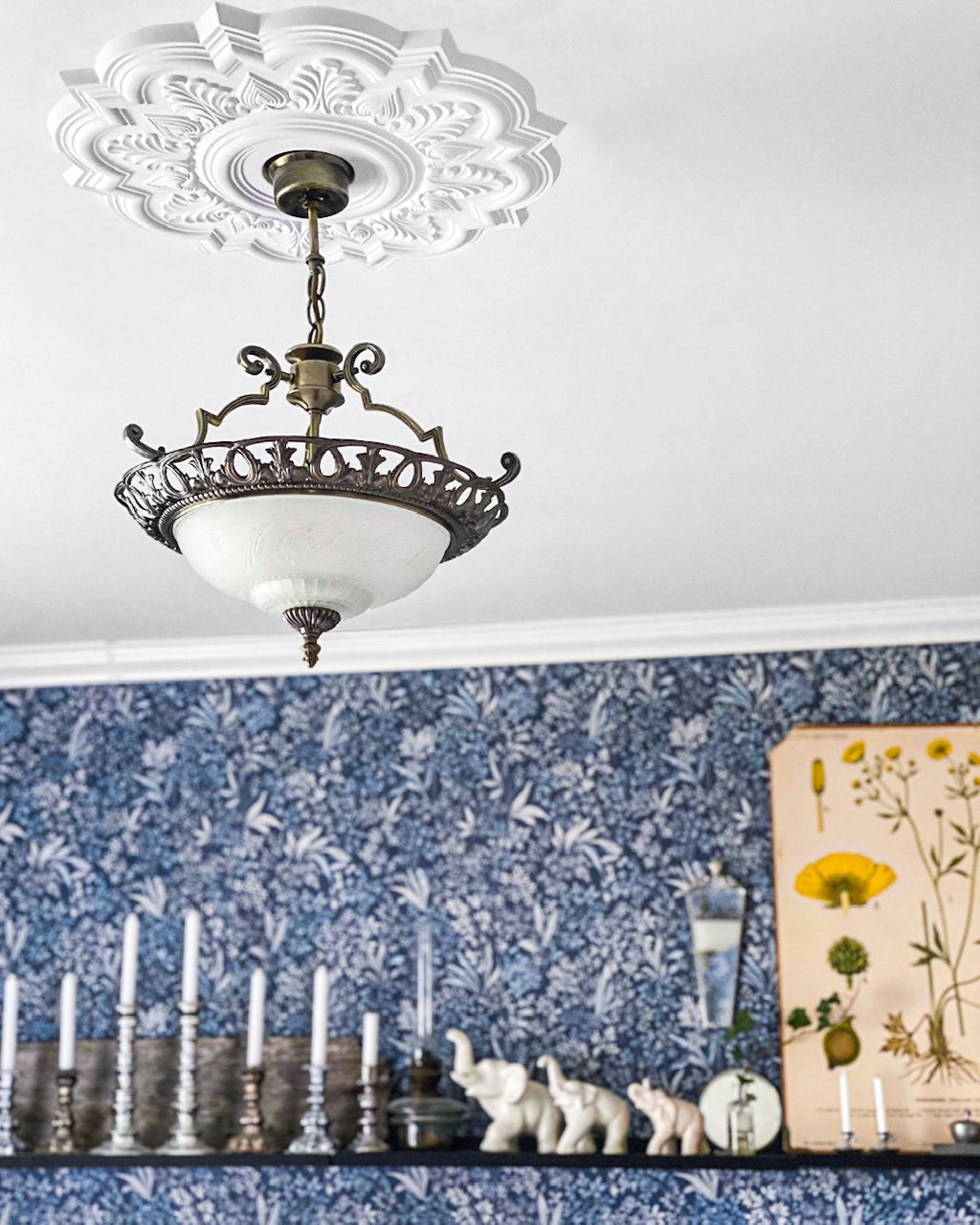 Rosace de plafond Z26